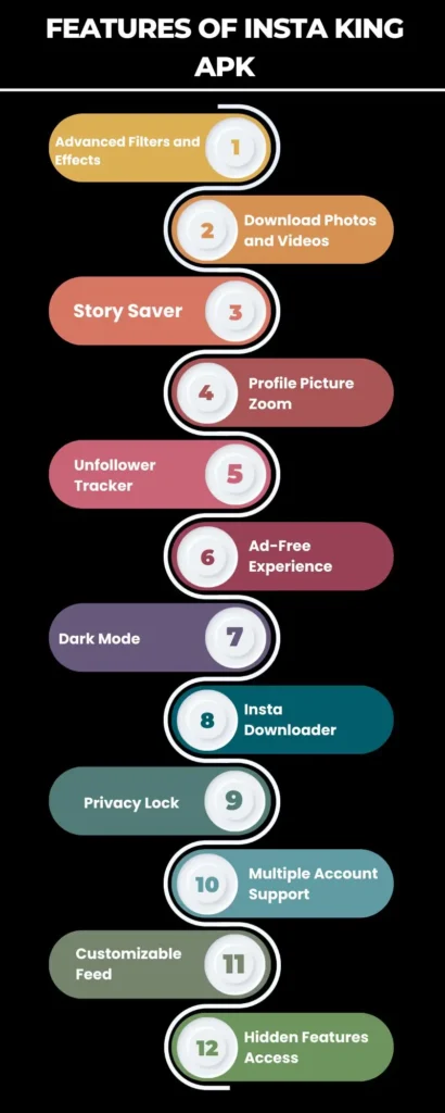 Insta king app infographic